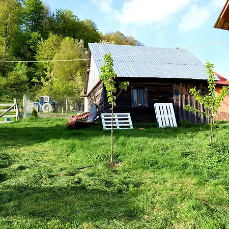 Lodge Cabana Pin 1000m