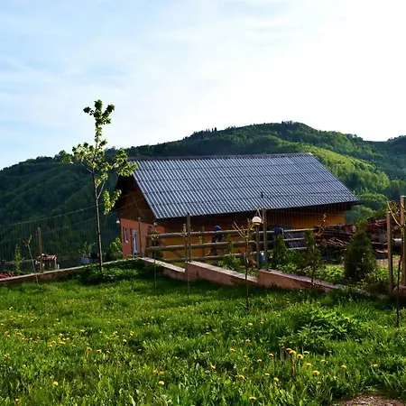 Cabana Pin 1000m Lodge