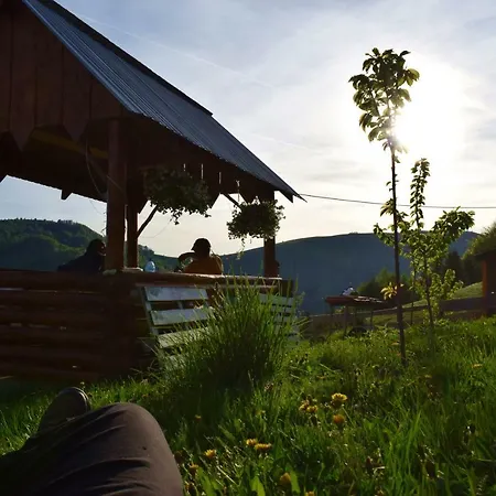 Cabana Pin 1000m Lodge Lupsa
