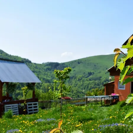 Cabana Pin 1000m Lodge Lupsa