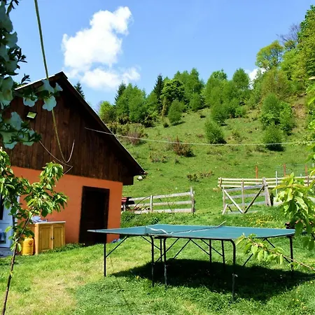 Cabana Pin 1000m Lodge Lupsa