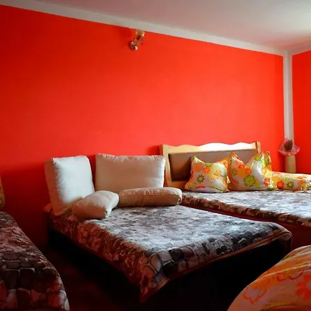 Cabana Pin 1000m Lodge Lupsa