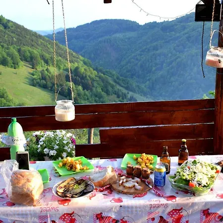 Cabana Pin 1000m Lodge Lupsa
