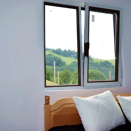 Cabana Pin 1000m Lodge Lupsa