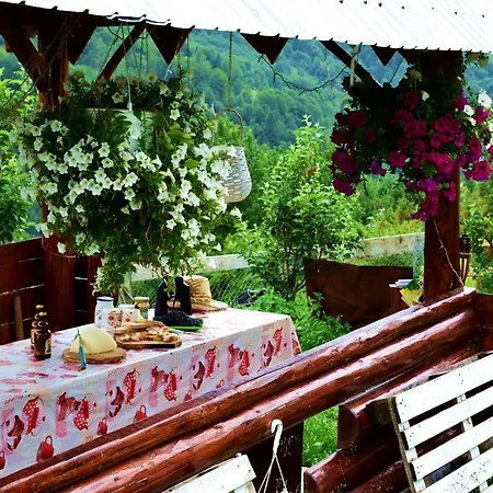 Cabana Pin 1000m Lodge Lupsa